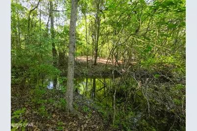 Tbd Nearing Hills Circle, Chipley, FL 32428 - Photo 20