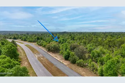 Lot 2 Elkcam Boulevard, Chipley, FL 32428 - Photo 6