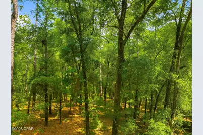 00 Corgi Lane, Chipley, FL 32428 - Photo 2