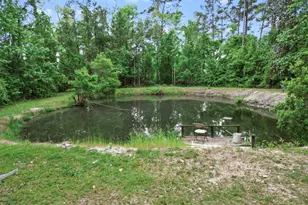 15766 NE Bob Sanders Rd, Hosford, FL 32334 - Photo 24
