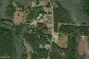 2290 Boswell Rd, Bonifay, FL 32425 - Photo 16