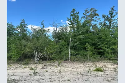 0000 NW Lakeside Avenue, Altha, FL 32421 - Photo 4