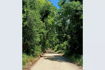 6694 Wolf Pond Road, Bascom, FL 32423 - Photo 2