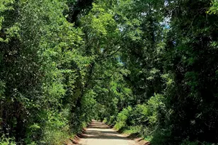 6694 Wolf Pond Rd, Bascom, FL 32423 - Photo 2