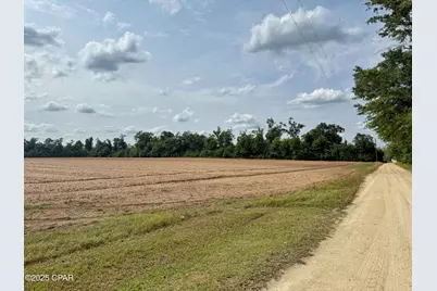 00 Delta Lane, Marianna, FL 32448 - Photo 12