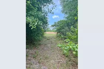 00 Delta Lane, Marianna, FL 32448 - Photo 6