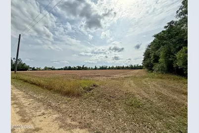00 Delta Lane, Marianna, FL 32448 - Photo 10