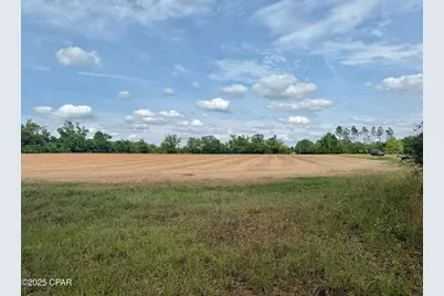 00 Delta Lane, Marianna, FL 32448 - Photo 2