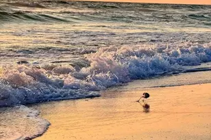 17735 Front Beach Rd, Panama City Beach, FL 32413 - Photo 48