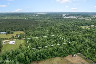 Xxx Whitetail Drive, Marianna, FL 32448 - Photo 4