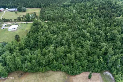 Xxx Whitetail Drive, Marianna, FL 32448 - Photo 20