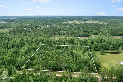 Xxx Whitetail Drive, Marianna, FL 32448 - Photo 8