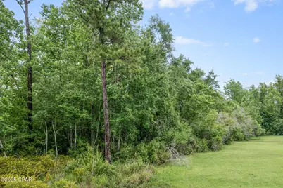 Xxx Whitetail Drive, Marianna, FL 32448 - Photo 24