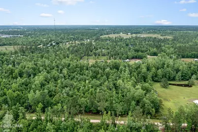 Xxx Whitetail Drive, Marianna, FL 32448 - Photo 14