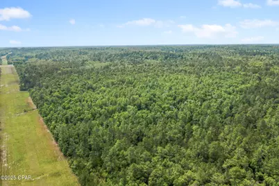 3100 Alhambra Drive, Chipley, FL 32428 - Photo 12