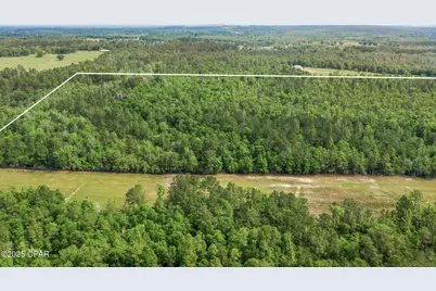 3100 Alhambra Drive, Chipley, FL 32428 - Photo 8