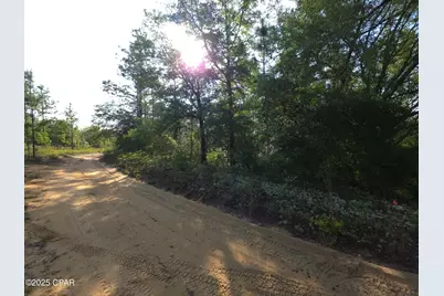 00 Payne Lake Road Road, Chipley, FL 32428 - Photo 2