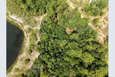 00 Payne Lake Road Road, Chipley, FL 32428 - Photo 6