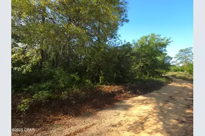 00 Payne Lake Road Road, Chipley, FL 32428 - Photo 10