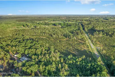 Xxx Cr 177 #Lot 1, Bonifay, FL 32425 - Photo 8