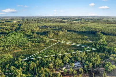 Xxx Cr 177 #Lot 1, Bonifay, FL 32425 - Photo 4