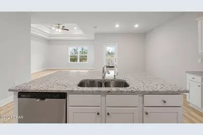 189 Needle Rush Drive, Port Saint Joe, FL 32456 - Photo 18