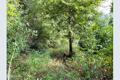 0 W Fort Road, Greenwood, FL 32443 - Photo 10