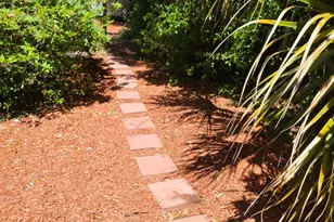 2317 E 3rd St, Panama City, FL 32401 - Photo 48