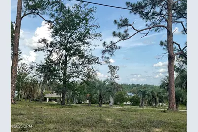 0 Lakepoint Road, Alford, FL 32420 - Photo 8