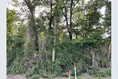 0 Lakepoint Road, Alford, FL 32420 - Photo 10