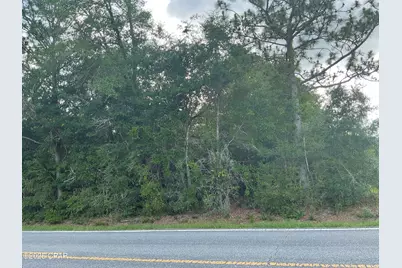 0 Lakepoint Road, Alford, FL 32420 - Photo 2