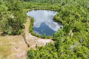 24197 NW Pine Tree Trl, Fountain, FL 32438 - Photo 68