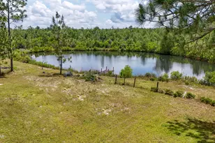 24197 NW Pine Tree Trl, Fountain, FL 32438 - Photo 12