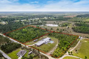 290 Rudy's Blaze, Wewahitchka, FL 32465 - Photo 70