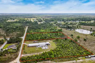 290 Rudy's Blaze, Wewahitchka, FL 32465 - Photo 68