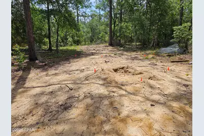 3239 Fox Court, Chipley, FL 32428 - Photo 6