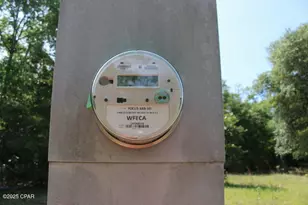 5929 Nichols Rd, Bascom, FL 32423 - Photo 8