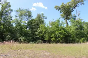 5929 Nichols Rd, Bascom, FL 32423 - Photo 16