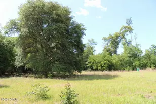 5929 Nichols Rd, Bascom, FL 32423 - Photo 10