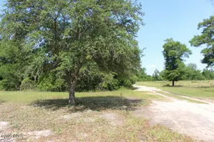 5929 Nichols Rd, Bascom, FL 32423 - Photo 28