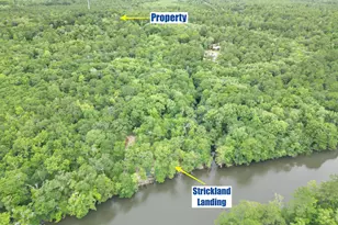 4934 Bluegill Way, Vernon, FL 32462 - Photo 18