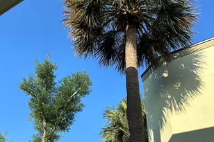 818 Radcliff Ave, Lynn Haven, FL 32444 - Photo 42