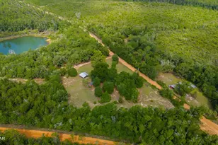 1371 Deadening Rd, Chipley, FL 32428 - Photo 16