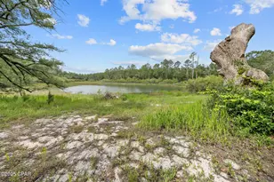 1371 Deadening Rd, Chipley, FL 32428 - Photo 8