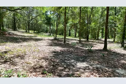 1371 Deadening Road, Chipley, FL 32428 - Photo 54