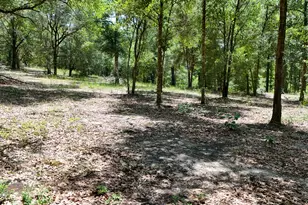 1371 Deadening Rd, Chipley, FL 32428 - Photo 54