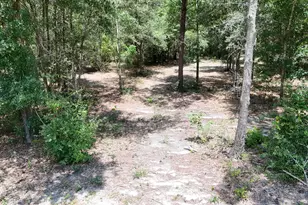 1371 Deadening Rd, Chipley, FL 32428 - Photo 68