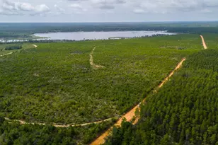 1371 Deadening Rd, Chipley, FL 32428 - Photo 18