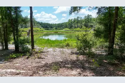 1371 Deadening Road, Chipley, FL 32428 - Photo 52