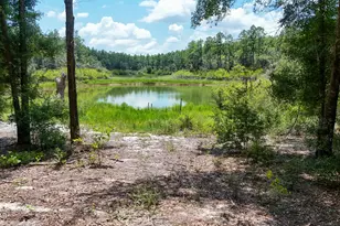 1371 Deadening Rd, Chipley, FL 32428 - Photo 52